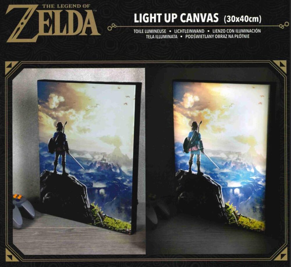 LEGEND OF ZELDA - Into The Wilds - Canvas Lumineux 40X30 Cm